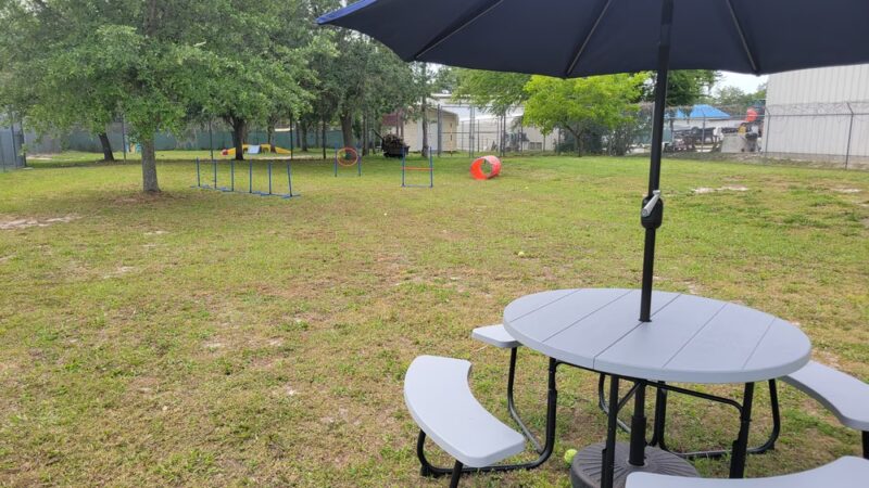 Hollywoof Hills Dog Park - Lakeland, FL