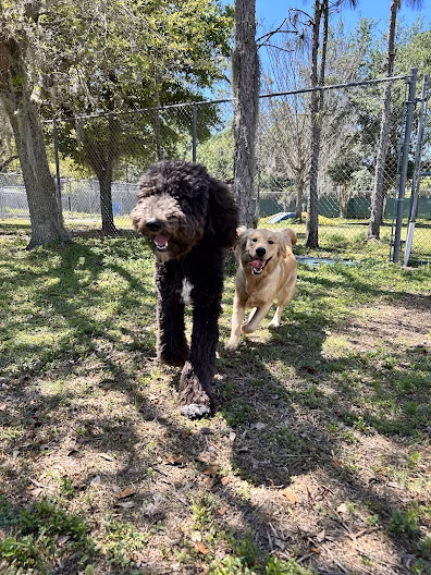 Hollywoof Hills Dog Park - Lakeland, FL