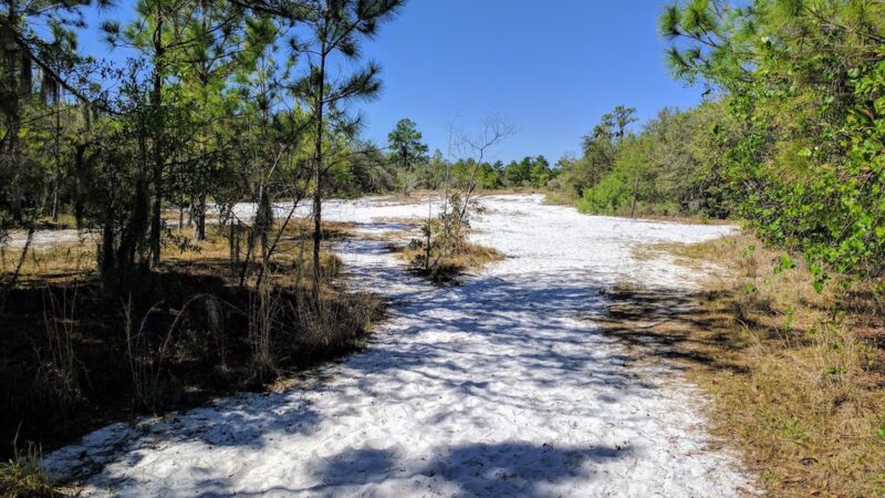 Lakeland Highlands Scrub - Lakeland, FL