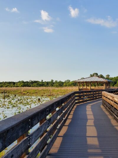 Lakeland Highlands Scrub - Lakeland, FL