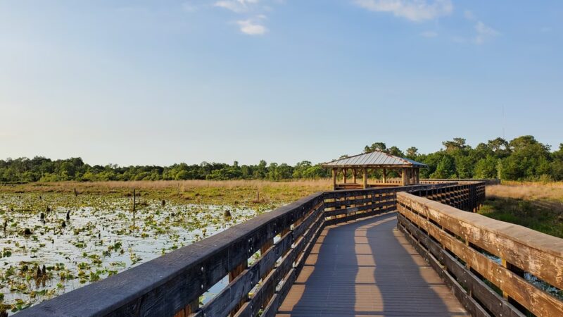Lakeland Highlands Scrub - Lakeland, FL