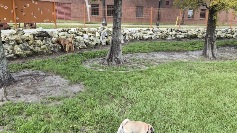 On Dog Time Dog Park - Lakeland, FL