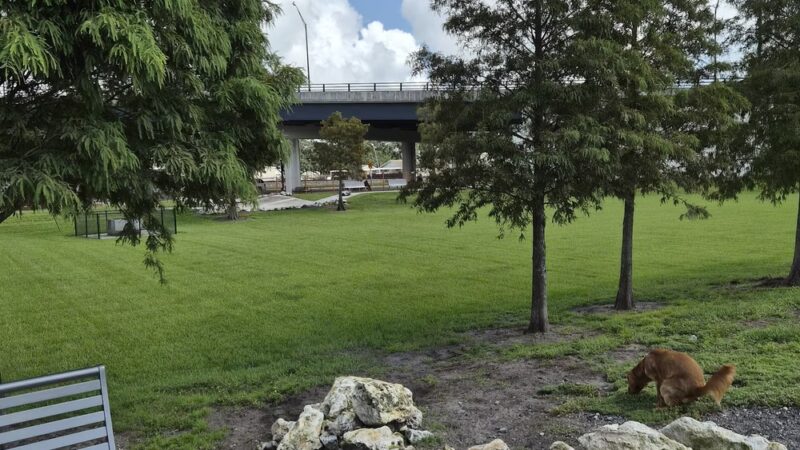 On Dog Time Dog Park - Lakeland, FL