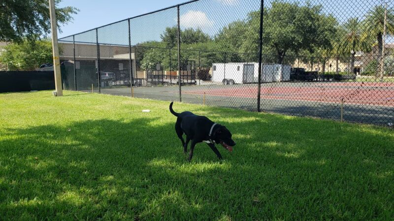 Sailor Cove Dog Park - Lakeland, FL