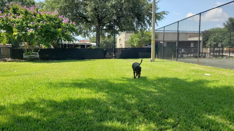 Sailor Cove Dog Park - Lakeland, FL