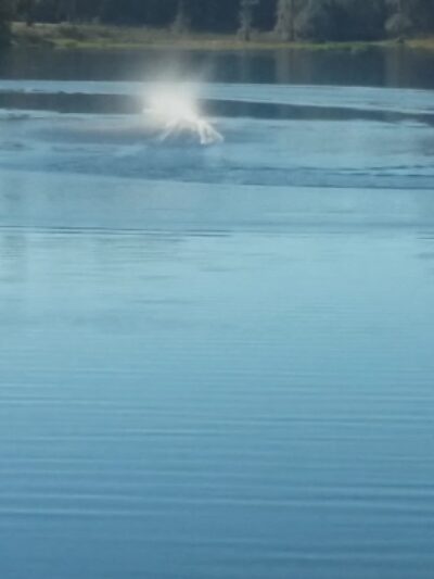 Robert Simpson Nature Trail - Lakeland, GA