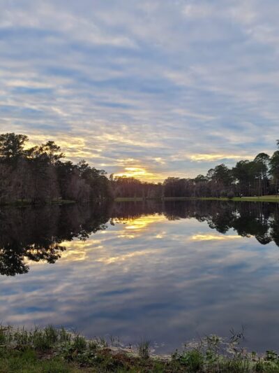 Robert Simpson Nature Trail - Lakeland, GA