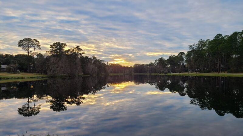 Robert Simpson Nature Trail - Lakeland, GA