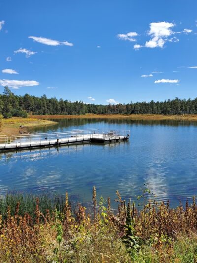 Woodland Lake Park - Lakeside, AZ