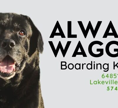 Always Waggin Boarding Kennel - Lakeville, IN