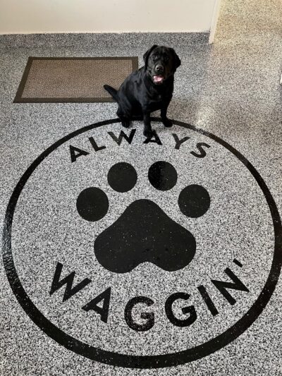 Always Waggin Boarding Kennel - Lakeville, IN