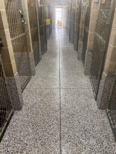 Always Waggin Boarding Kennel - Lakeville, IN