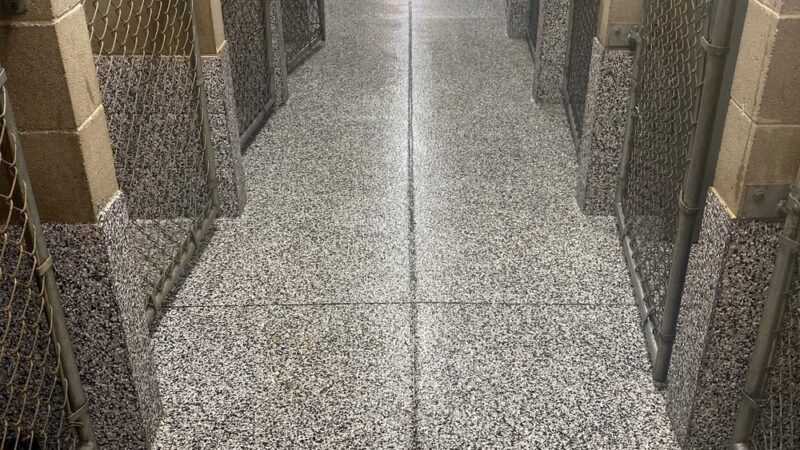 Always Waggin Boarding Kennel - Lakeville, IN