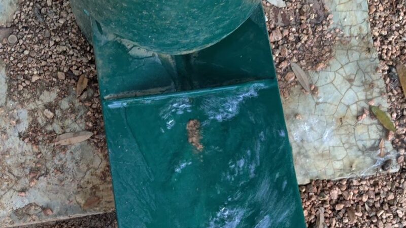 Bark Park - Lakeway, TX