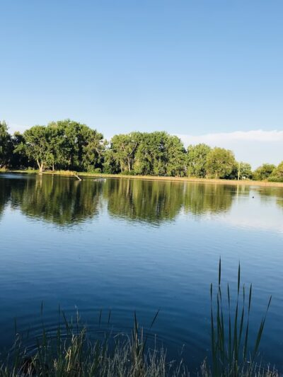 Cottonwood Park - Lakewood, CO