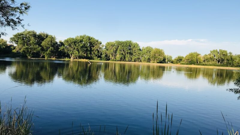 Cottonwood Park - Lakewood, CO