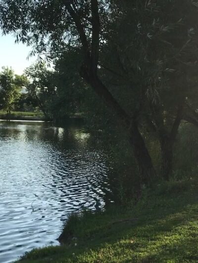 Cottonwood Park - Lakewood, CO