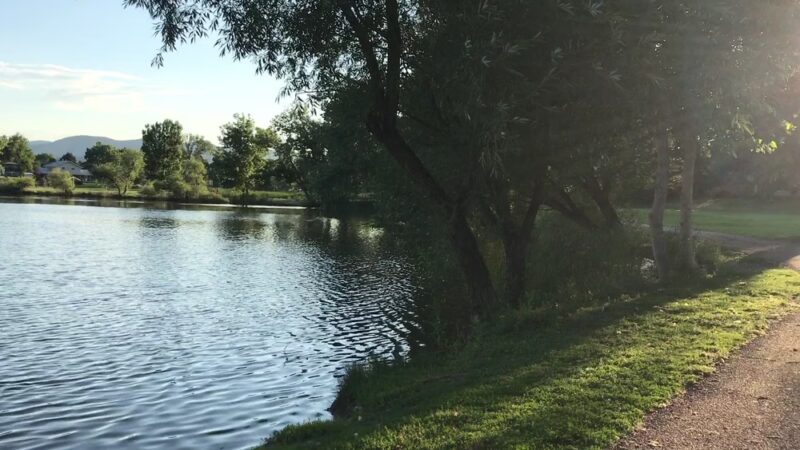 Cottonwood Park - Lakewood, CO