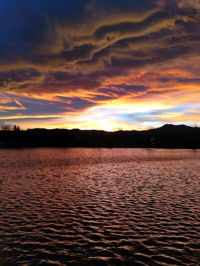 Cottonwood Park - Lakewood, CO