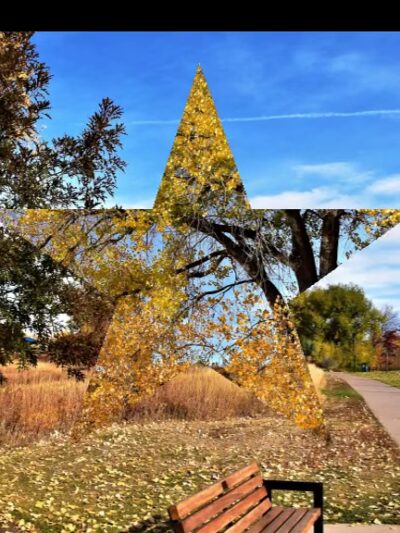 Addenbrooke Park - Lakewood, CO