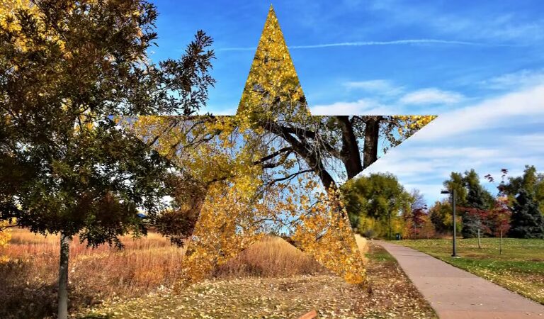 Addenbrooke Park - Lakewood, CO