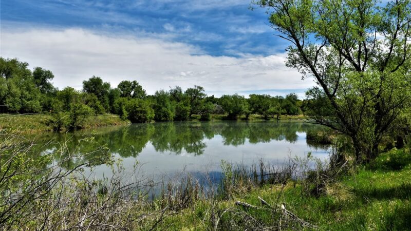 Bear Creek Greenbelt - Lakewood, CO