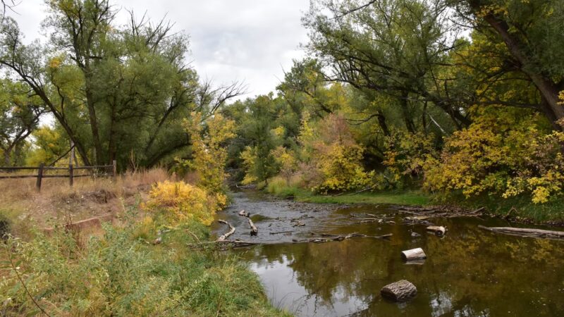 Bear Creek Greenbelt - Lakewood, CO