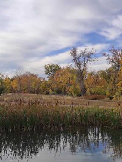 Belmar Park - Lakewood, CO