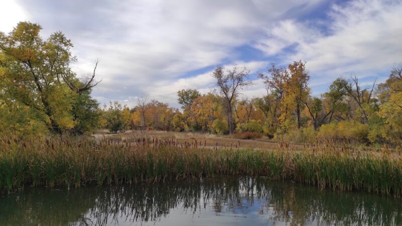 Belmar Park - Lakewood, CO