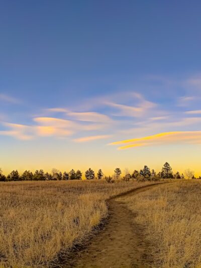 Belmar Park - Lakewood, CO