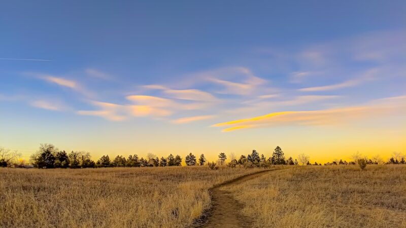 Belmar Park - Lakewood, CO