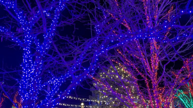 Belmar Plaza - Lakewood, CO