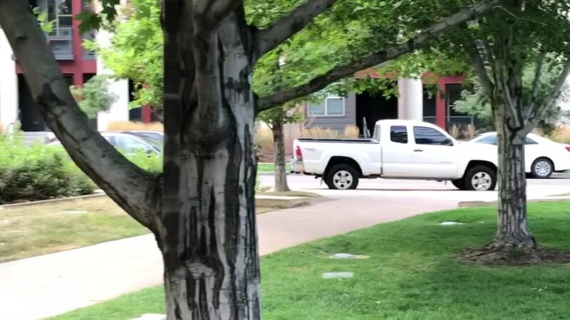 Belmar Square - Lakewood, CO