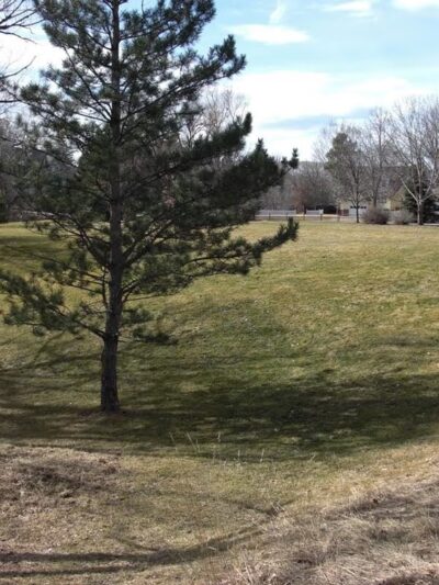 Bonvue Park - Lakewood, CO