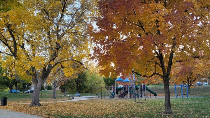 Chester-Portsmouth Park - Lakewood, CO