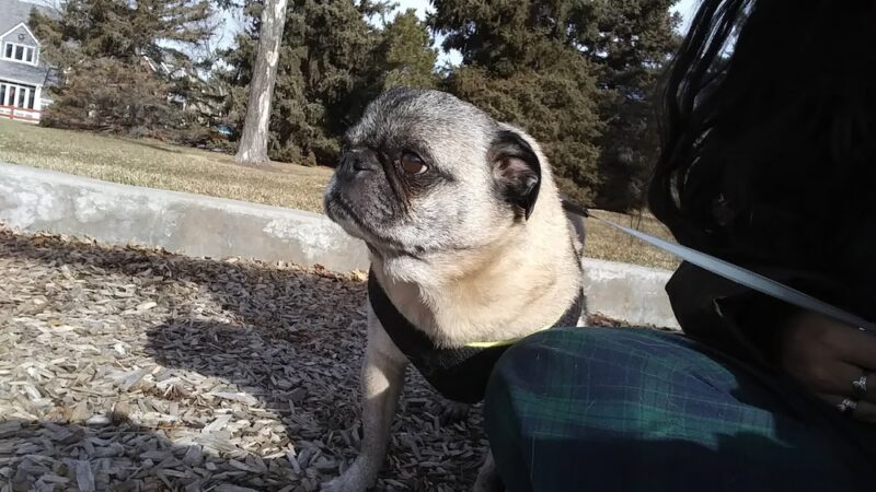 Chester-Portsmouth Park - Lakewood, CO
