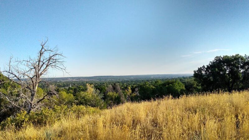 Graham Park - Lakewood, CO