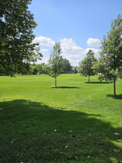 Green Gables Park - Lakewood, CO