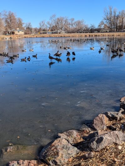 Jewell Park - Lakewood, CO
