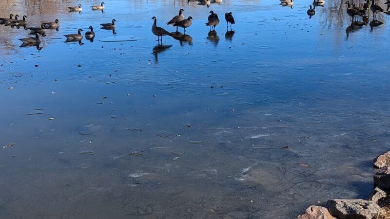 Jewell Park - Lakewood, CO