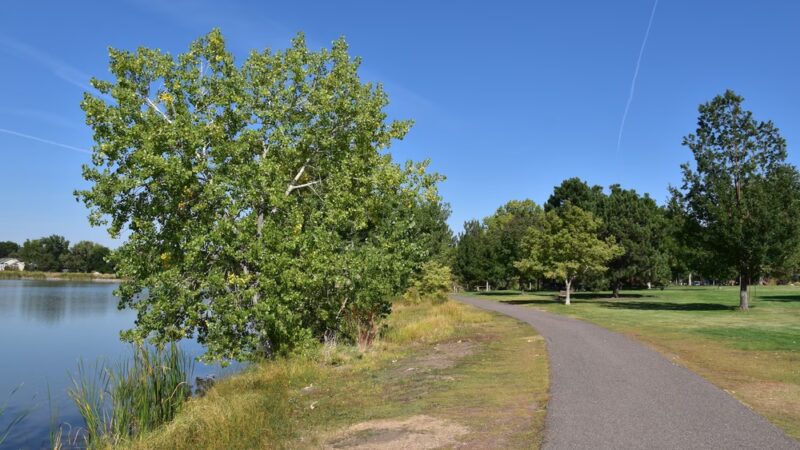 Kendrick Lake Park - Lakewood, CO