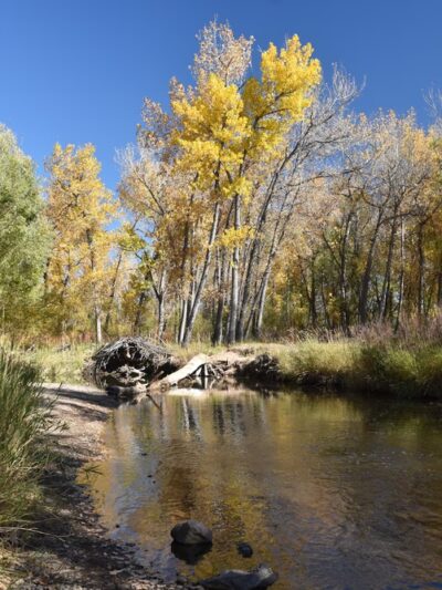 Lakewood City Urban Parks - Lakewood, CO