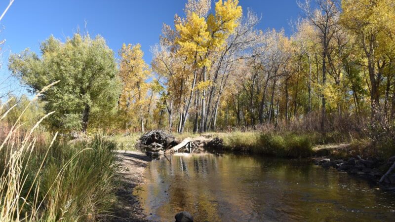 Lakewood City Urban Parks - Lakewood, CO