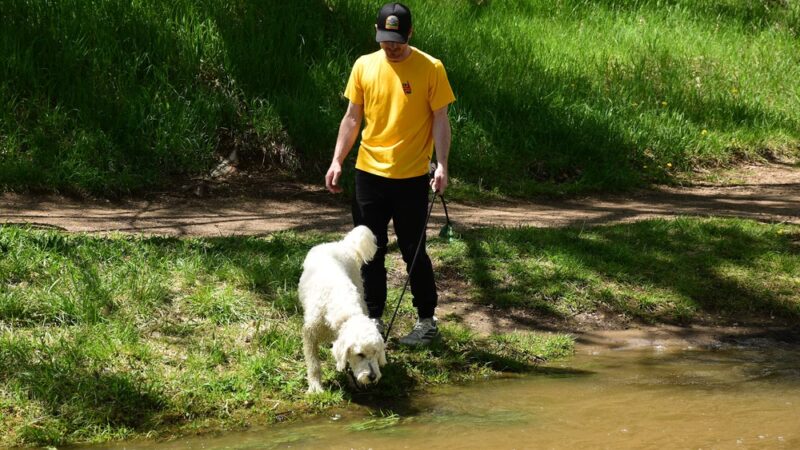 Lakewood City Urban Parks - Lakewood, CO