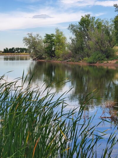 Main Reservoir Park - Lakewood, CO