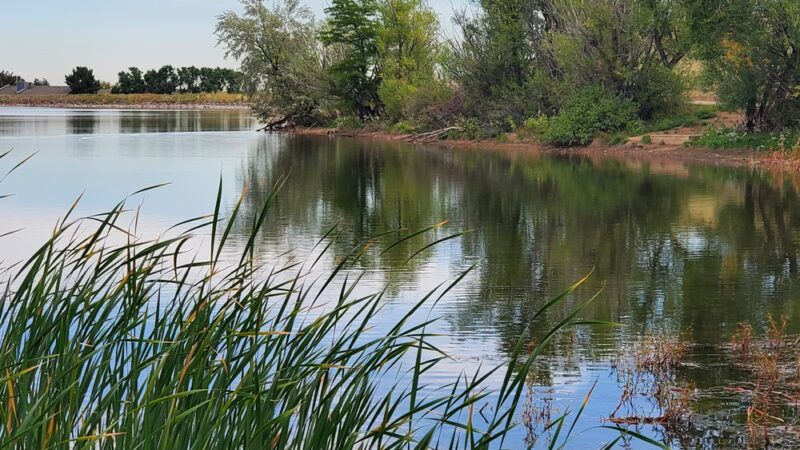Main Reservoir Park - Lakewood, CO