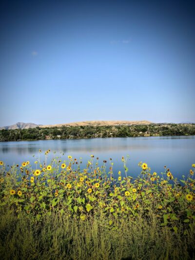 Main Reservoir Park - Lakewood, CO