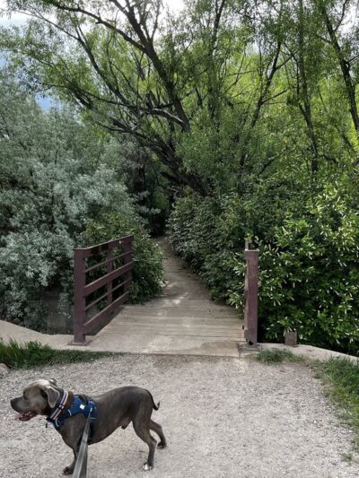 Main Reservoir Park - Lakewood, CO