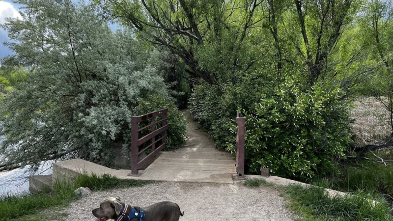 Main Reservoir Park - Lakewood, CO