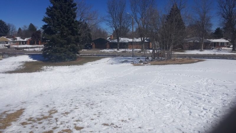 Meadowlark Park - Lakewood, CO
